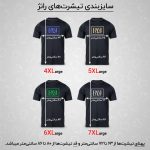 تی شرت آستین کوتاه مردانه رانژ مدل  22RA07D04M-2426-01